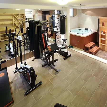 Fiesta In Makarska, Gym, Private Pool, Sauna Vila *